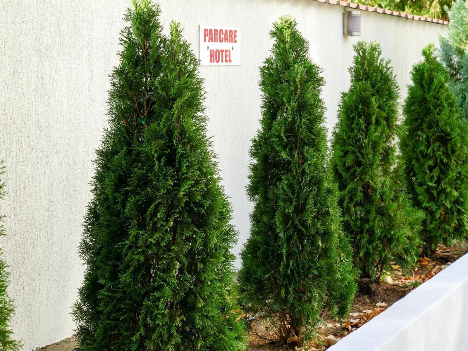 Hotel Criss Bucharest Luaran gambar